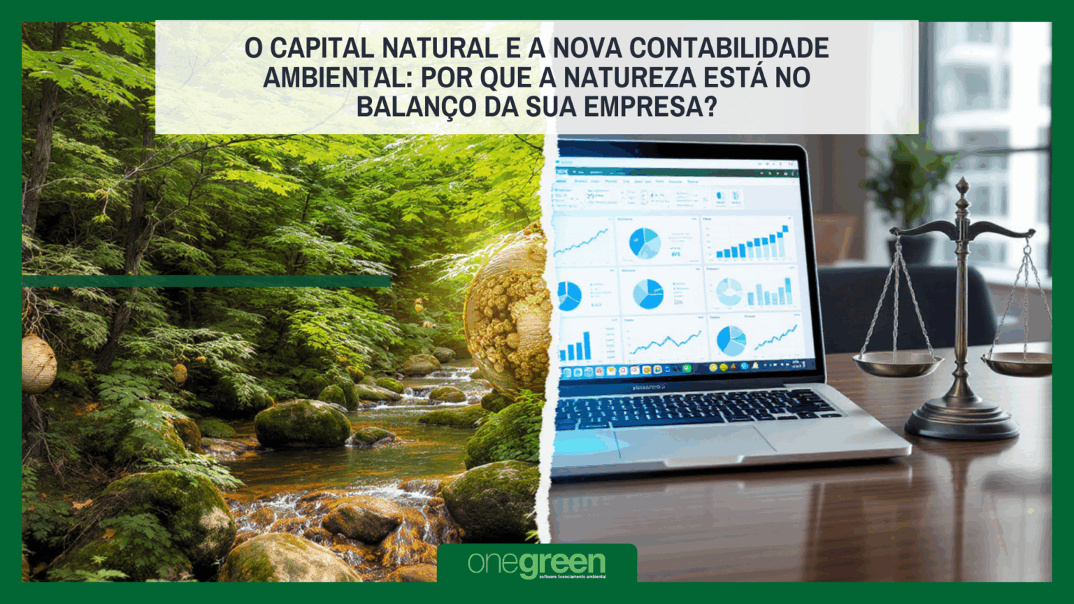 O Capital Natural e a Nova Contabilidade Ambiental: Por que a natureza está no balanço da sua empresa?